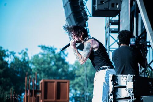 While She Sleeps