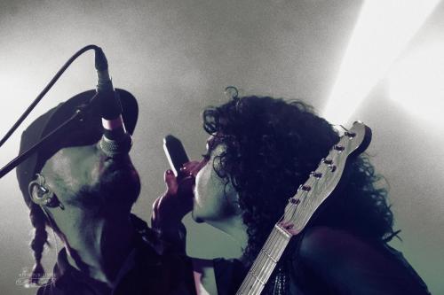 baboon-show-17