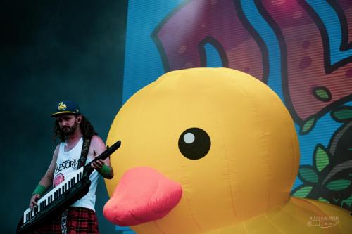 Alestorm